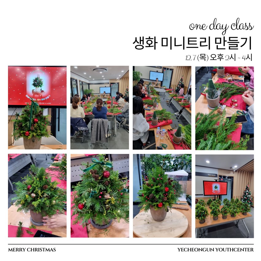 1.원데이클래스 <생화 미니트리 만들기>